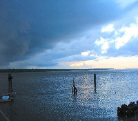 Coppename river 